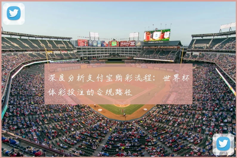 深度分析支付宝购彩流程:世界杯体彩投注的合规路径