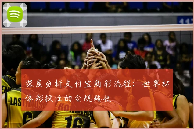深度分析支付宝购彩流程:世界杯体彩投注的合规路径