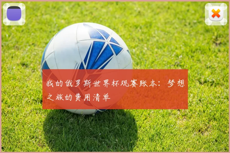 我的俄罗斯世界杯观赛账本:梦想之旅的费用清单