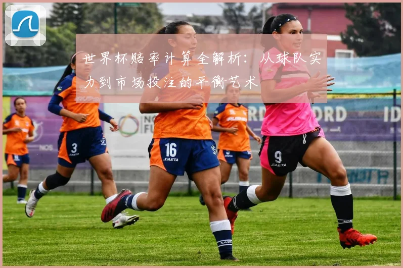 世界杯赔率计算全解析:从球队实力到市场投注的平衡艺术