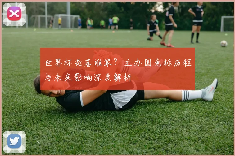 世界杯花落谁家？主办国竞标历程与未来影响深度解析